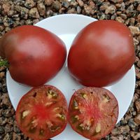 Black Pyramid-Chornaja Piramida